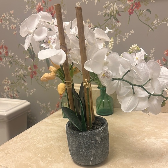Other - Elegant White Orchid Arrangement in Gray Pot